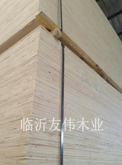 異形托盤(pán)板不可貌相，發(fā)展前景不可限量